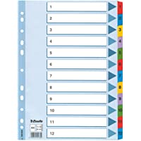 Esselte Índices Numéricos de Cartón Mylar- Tamaño A4- Tipo 1-12- Multicolor- 100162